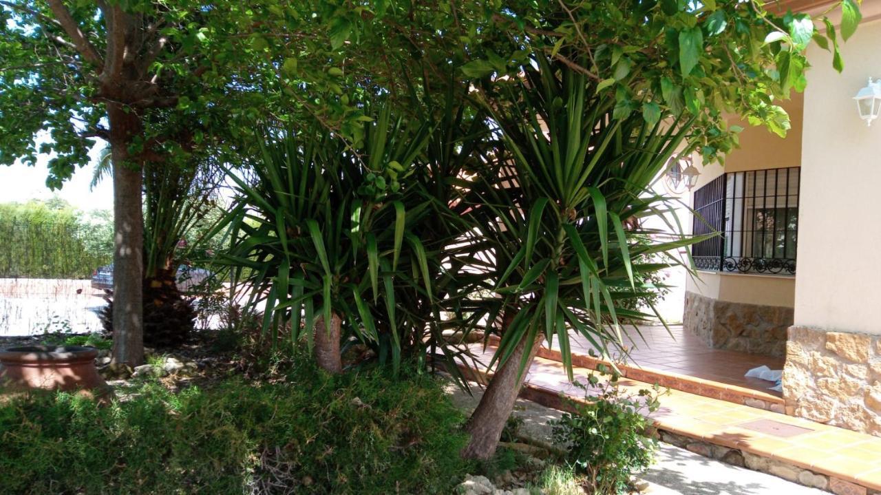 El Membrillar Villa La Carlota Exteriör bild
